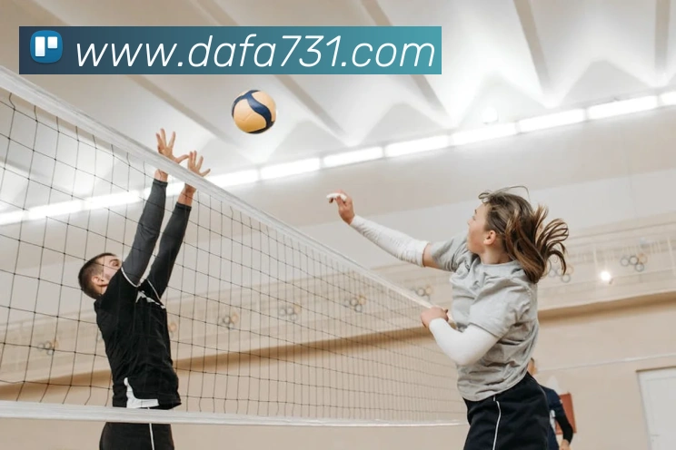 大发彩票网站平台生态图